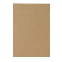 Envelope Saco Kraft 20cmx28cm 10 Blisters com 10 Unidades