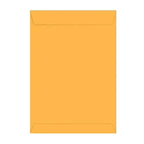 Envelope Saco Ouro 22,9cmx32,4cm 10 Blisters com 10 Unidades