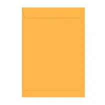Envelope Saco Ouro 22,9cmx32,4cm 10 Blisters com 10 Unidades