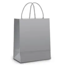 Sacola Papel Presente PP 14cm x 16cm x 8cm Lisa LC Cor Prata com 25 Unidades