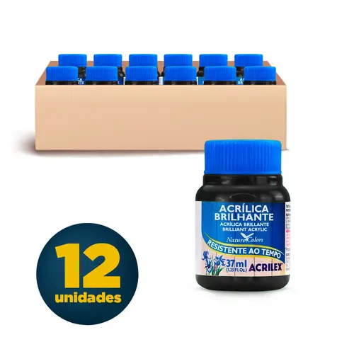 Tinta Acrílica Brilhante 37ml Acrilex Preto 520 com 12 Unidades