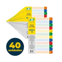 Divisória para Fichário Plástica 12 Matérias ACP Colorida com 40 Unidades