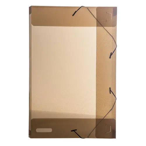 Pasta Aba e Elástico 1/2 Ofício PP 180mmx245mmx25mm Fumê com 50 Unidades