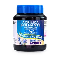 Tinta Acrílica Brilhante 250ml Acrilex 520 Preto com 03 Unidades