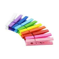 Prendedor de Madeira 4,8cm 10 Unidades Colorido Wincy