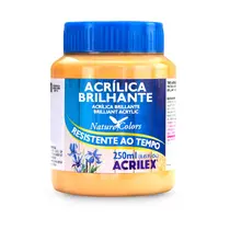 Tinta Acrílica Brilhante 250ml Acrilex 538 Amarelo Pêssego 03 Unidades