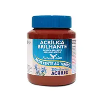 Tinta Acrílica Brilhante 250ml Acrilex 531 Marrom 03 Unidades