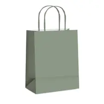 Sacola Papel Presente P 21,5cmX15cmX8cm Cromus Eucalipto com 10 Unidades