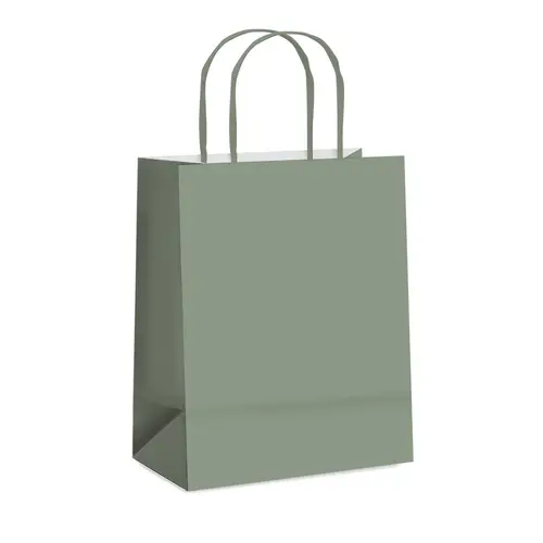 SACOLA PAPEL PRESENTE M 26CMX19,5CMX9,5CM CROMUS EUCALIPTO 10 UN