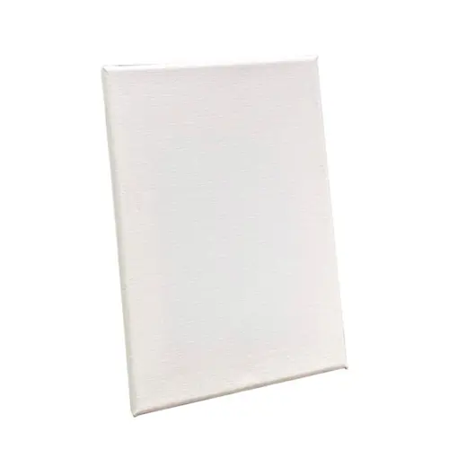 TELA PINTURA ESCOLAR 30CMX30CM