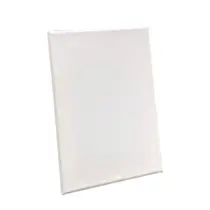 TELA PINTURA ESCOLAR 30CMX30CM