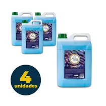 SABONETE LIQUIDO 05L PREMISSE MIX DE FRUTAS 4 UN