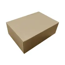 CAIXA PAPELAO CDP SEDEX M C26,5CMXL19,8CMXA9,8CM 0010 UN
