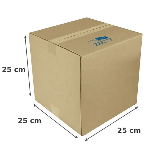 CAIXA PAPELAO CDP N-09 SIMPLES C25CMXL25CMXA25CM 10 UN