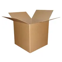 CAIXA PAPELAO CDP N-09 SIMPLES C25CMXL25CMXA25CM 10 UN