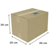 CAIXA PAPELAO CDP N-10 SIMPLES C30CMXL20CMXA30CM 10 UN