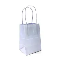 SACOLA PAPEL KRAFT MINI 9,5CMX7,5CMX14,5CM COR BRANCA C/ALCA BR 10 UN