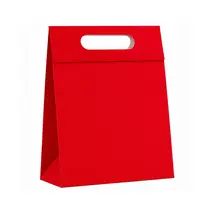 CAIXA PRESENTE PLUS P 18CMX7,5CMX24CM CROMUS CHARMING RED 10 UN