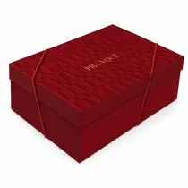 CAIXA PRESENTE RET C/TAMPA M 35CMX25CMX11CM CROMUS BORGONHA