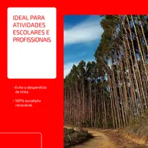 Papel Sulfite Tradicional Qualidade Chamex A4 75g 210mmx297mm 500 Folhas